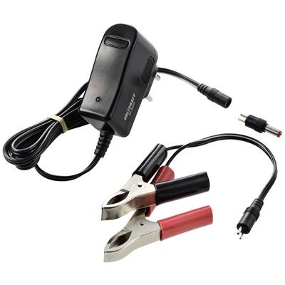 Ein Batterieladegerät mit einem Netzkabel und zwei Krokodilklemmen, eine rote und eine schwarze, für den Anschluss an Batteriepole.
