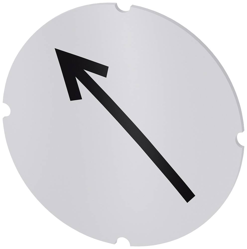 Siemens 3SU1900-0AB71-0QS0 3SU19000AB710QS0 Einlegeschild 10 St.