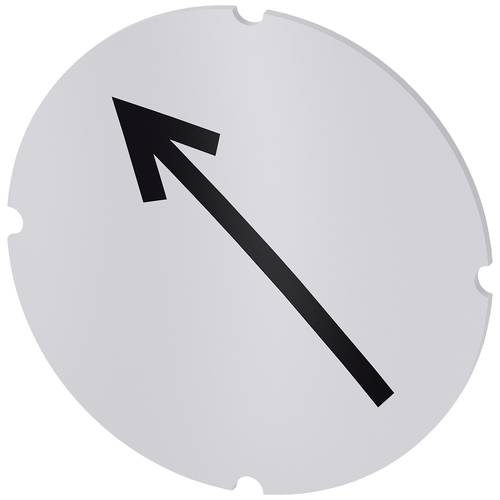 Siemens 3SU1900-0AB71-0QS0 3SU19000AB710QS0 Einlegeschild 10 St.