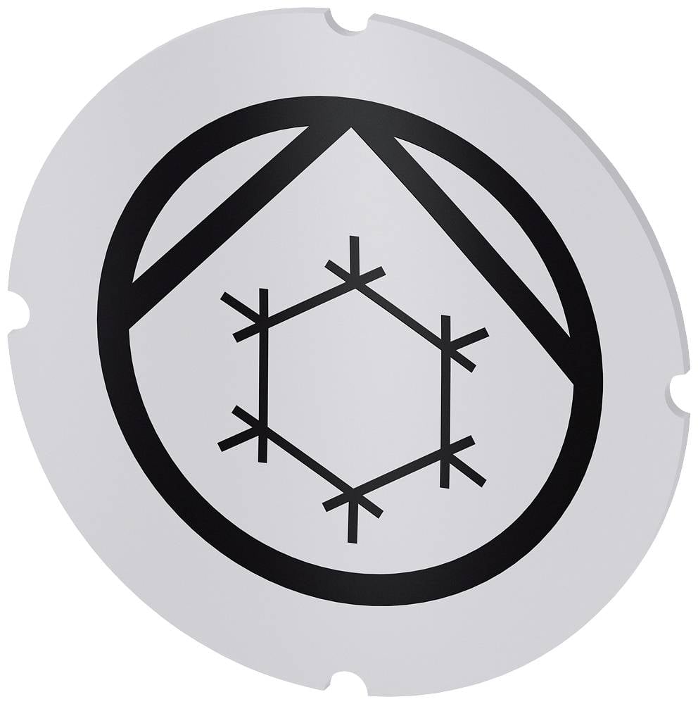 Siemens 3SU1900-0AB71-0RE0 3SU19000AB710RE0 Einlegeschild 10 St.