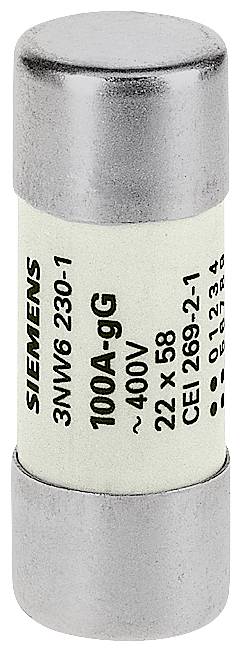 Siemens 3NW62051 Zylindersicherungseinsatz 10 St.