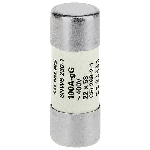 Siemens 3NW62101 Zylindersicherungseinsatz 10 St.