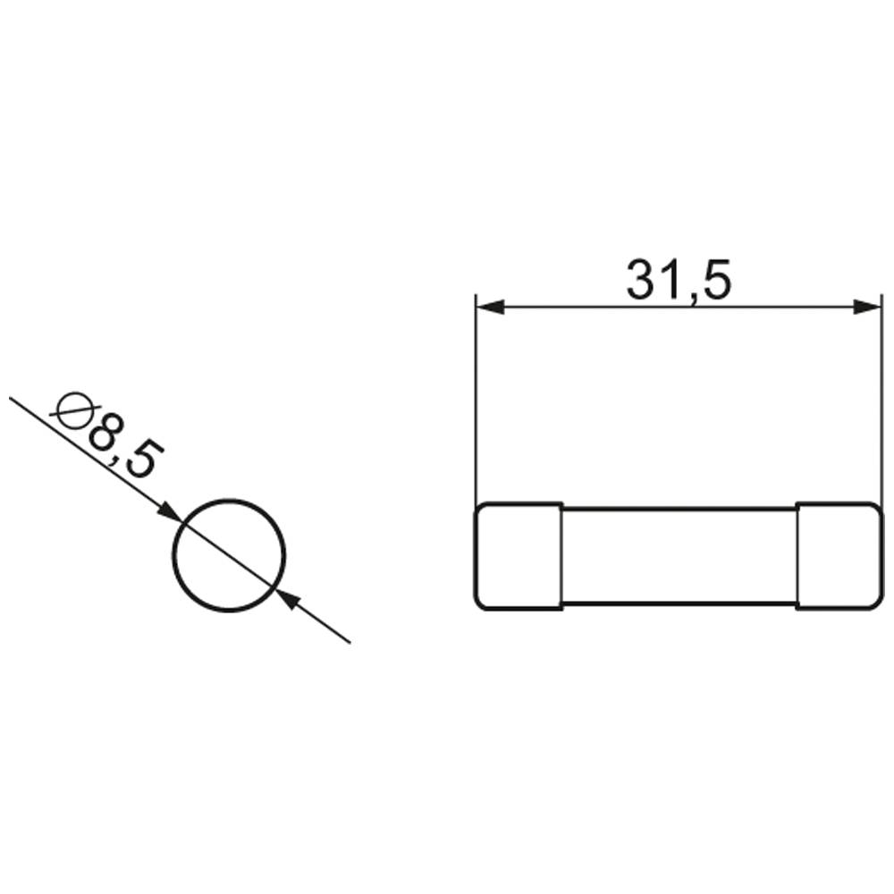Technische Zeichnung eines zylindrischen Bauteils. Länge: 31,5 mm, Durchmesser: 8,5 mm. Bewertet aus zwei Ansichten.