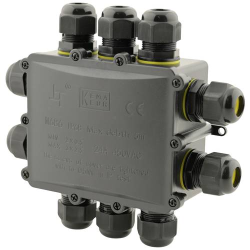 Boxexpert BXPJSGH686-10 Abzweigdose (B x H) 183 mm x 136 mm 1 St.