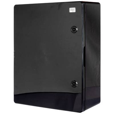 Schwarzer Wandschrank mit zwei runden Griffen. Das Design ist schlicht und modern. Geeignet für Büros oder industrielle Anwendungen.