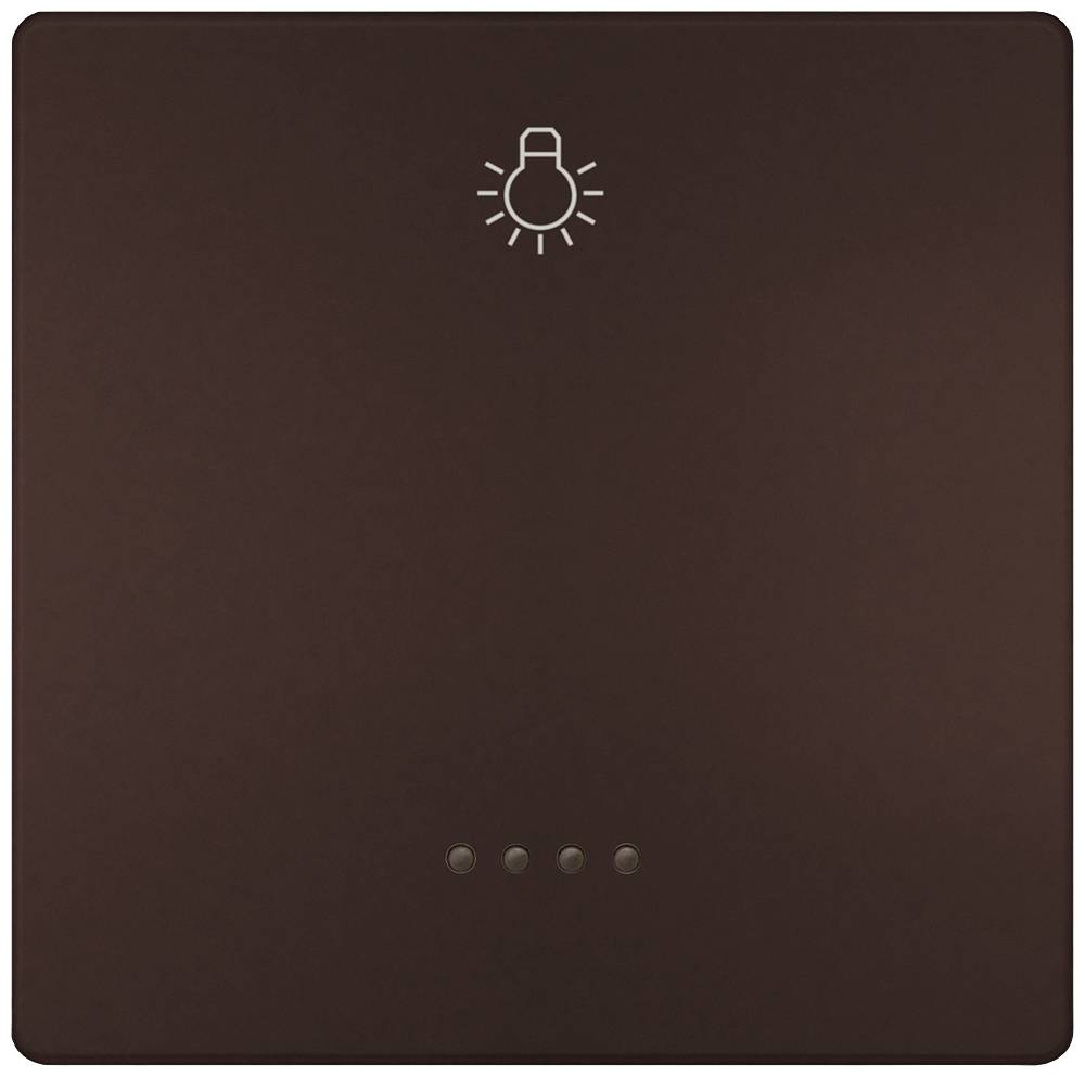 Ein brauner Lichtschalter mit einem Glühbirnensymbol oben. Der Schalter hat vier kleine Punkte unten.