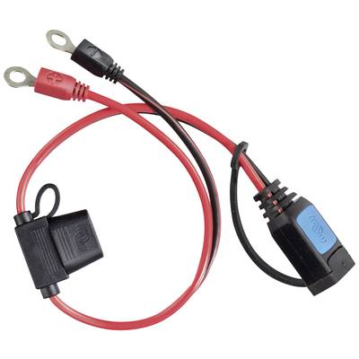 Ein rotes und ein schwarzes Kabel mit Ösenanschlüssen und Sicherungshalter, geeignet für die Verbindung mit einer Batterie.
