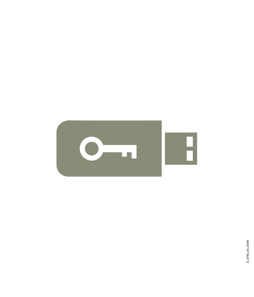 Ein graues USB-Symbol mit einem Schlüsselmuster darauf, das Datensicherheit oder Zugangskontrolle darstellt.