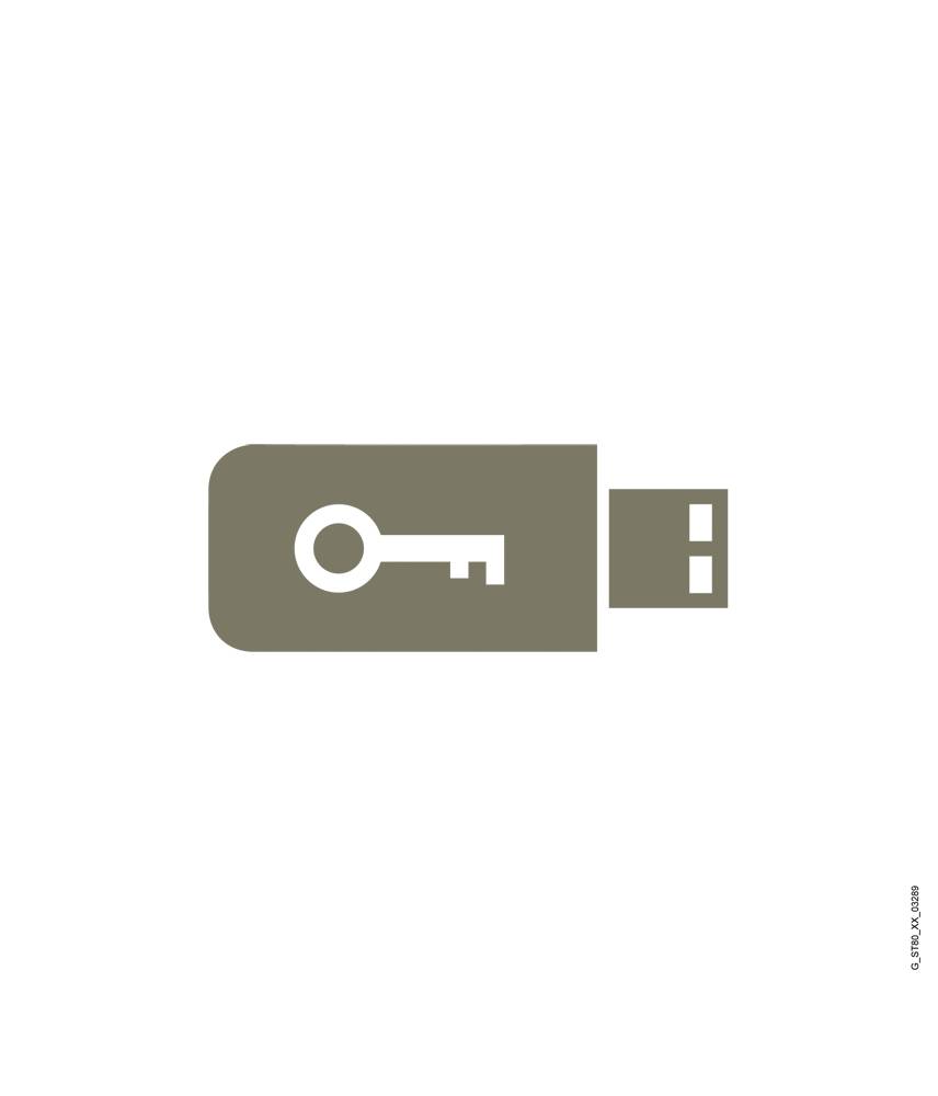 USB-Stick-Symbol mit Schlüsselsymbol, symbolisiert Datensicherheit oder verschlüsselten Speicher.