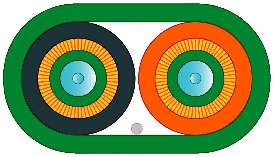 Zwei nebeneinanderliegende Kreise in grünem Oval, links schwarz mit orangenem Ring, rechts orange mit grünen Details in der Mitte.
