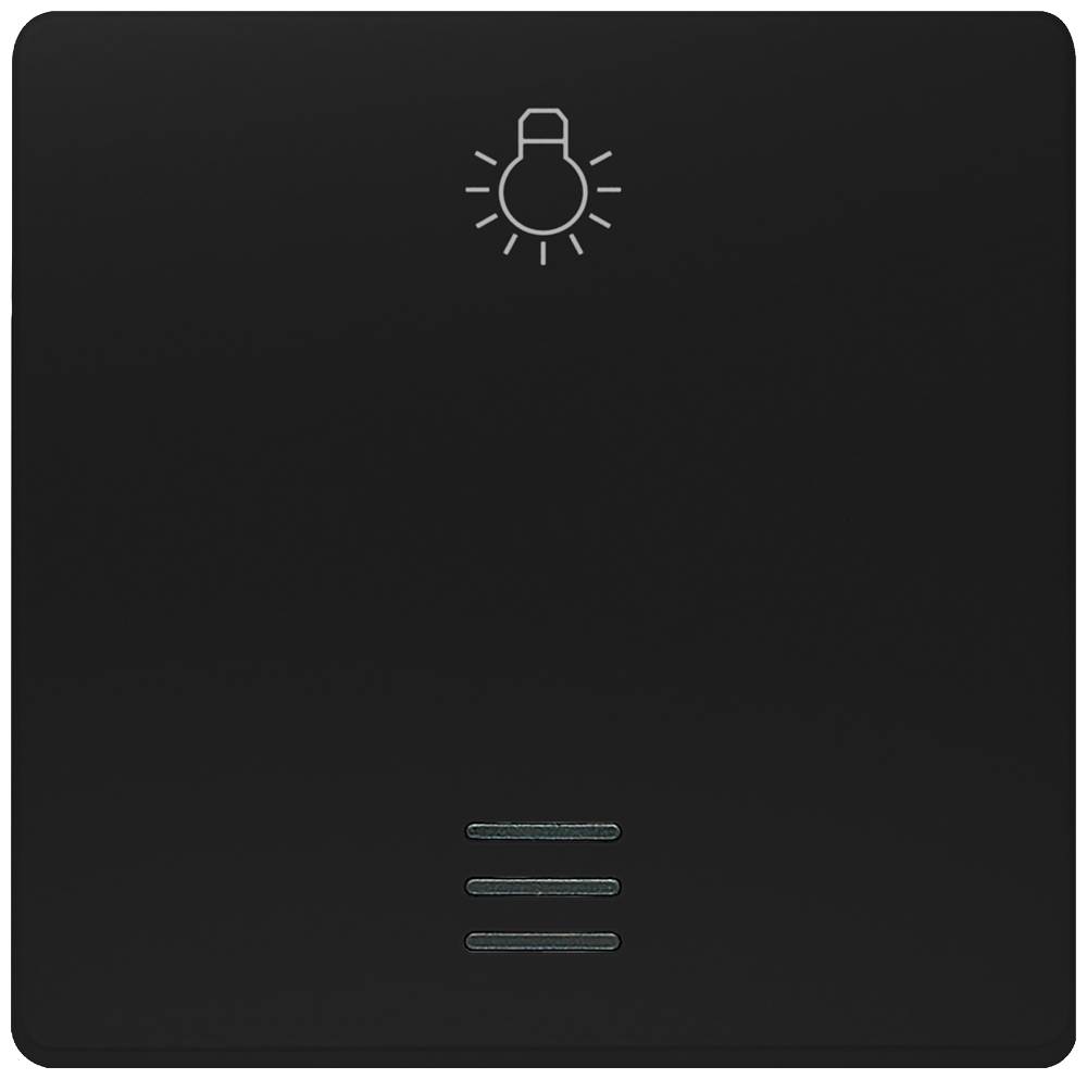 Siemens Schalterprogramm Delta 5TG62010SB21 1 St.