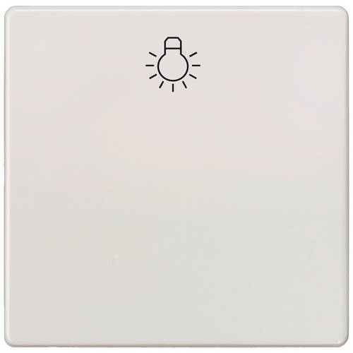 Siemens Schalterprogramm Delta 5TG62010TW20 1 St.