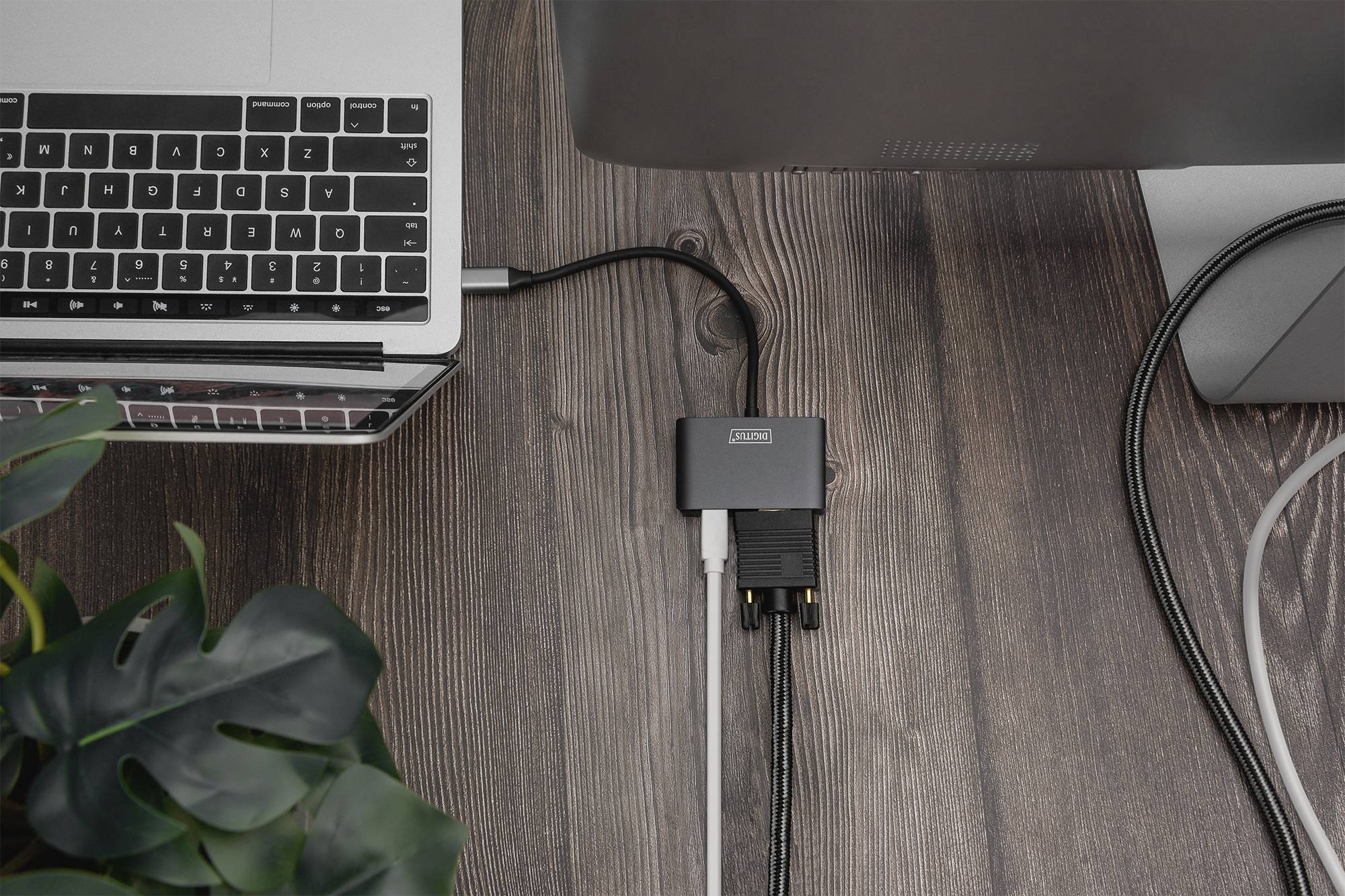 Ein Laptop und ein Monitor sind über einen USB-Hub verbunden, auf einem Holztisch. Links unten ist eine Pflanze sichtbar.