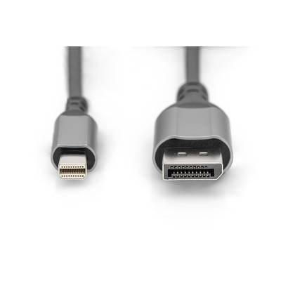 Ein schwarzes Kabel mit zwei Steckern: links ein Mini-DisplayPort, rechts ein HDMI-Stecker. Beide liegen auf einer weißen Oberfläche.
