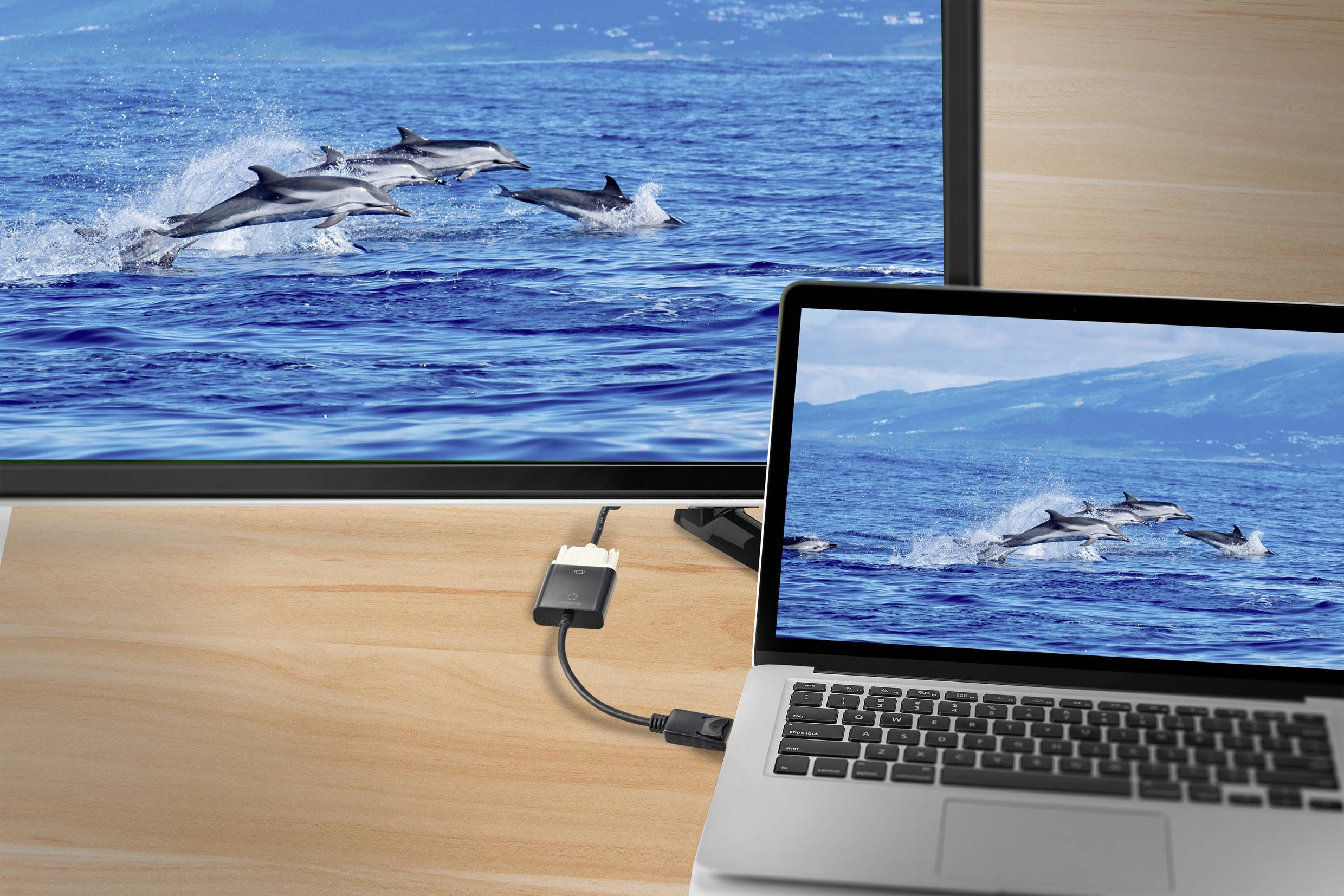 Ein Laptop ist über ein Kabel mit einem Monitor verbunden. Auf beiden Bildschirmen ist das gleiche Bild von Delphinen, die im Meer springen, zu sehen.