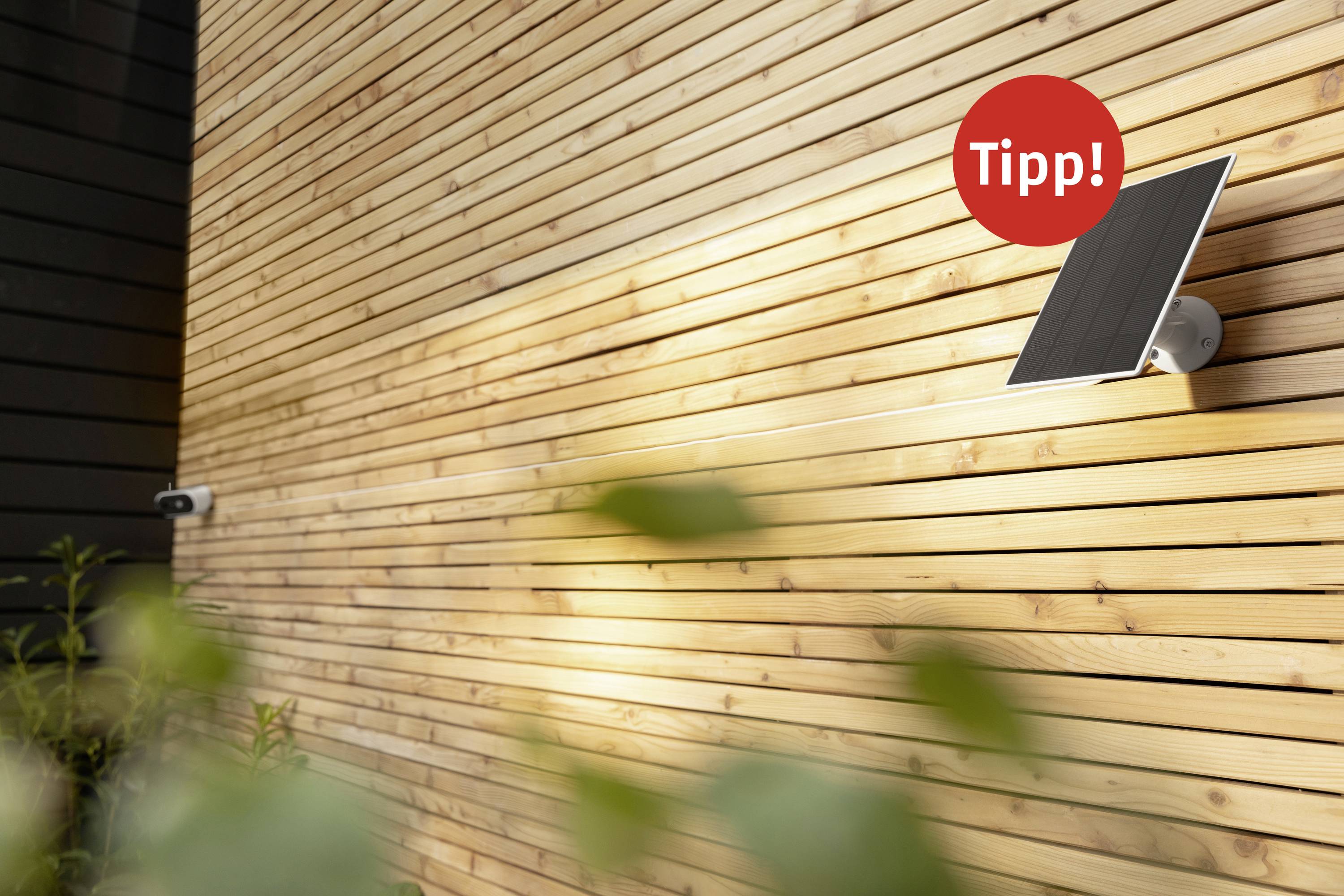 Solarmodul an einer hölzernen Wand, sonnig beleuchtet, mit einem roten Kreis und dem Wort 'Tipp!' darauf.