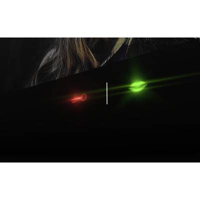 Schwarzer Hintergrund mit rotem Schlüsselsymbol links und grünem Lippensymbol rechts, getrennt durch eine weiße Linie.