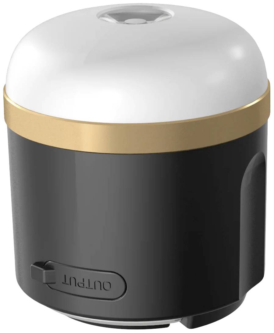 Ein kleines, rundes Gerät mit weißer Kuppel, darunter schwarzes Gehäuse und goldener Ring. Vorne befindet sich ein Schalter mit der Aufschrift 'OUT-PUT'.