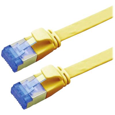 Zwei gelbe Ethernet-Kabel mit blauen Steckern nebeneinander liegend.