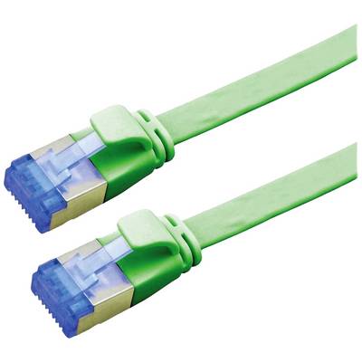 'Zwei grüne Ethernet-Kabel mit blauen Steckern, die für Netzwerkverbindungen verwendet werden, liegen nebeneinander auf weißem Hintergrund.'