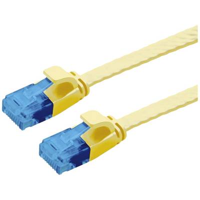Zwei gelbe Ethernet-Kabel mit blauen Steckern auf weißem Hintergrund.