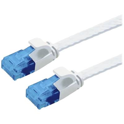 Zwei blaue Ethernet-Kabelenden mit weißen Ummantelungen, nebeneinander, zur Datenübertragung verwendet.
