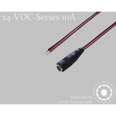 Zwei elektrische Kabel, eines mit Steckkontakt und das andere mit Kupplungsbuchse; beschriftet '24-VDC-Series 10A'.