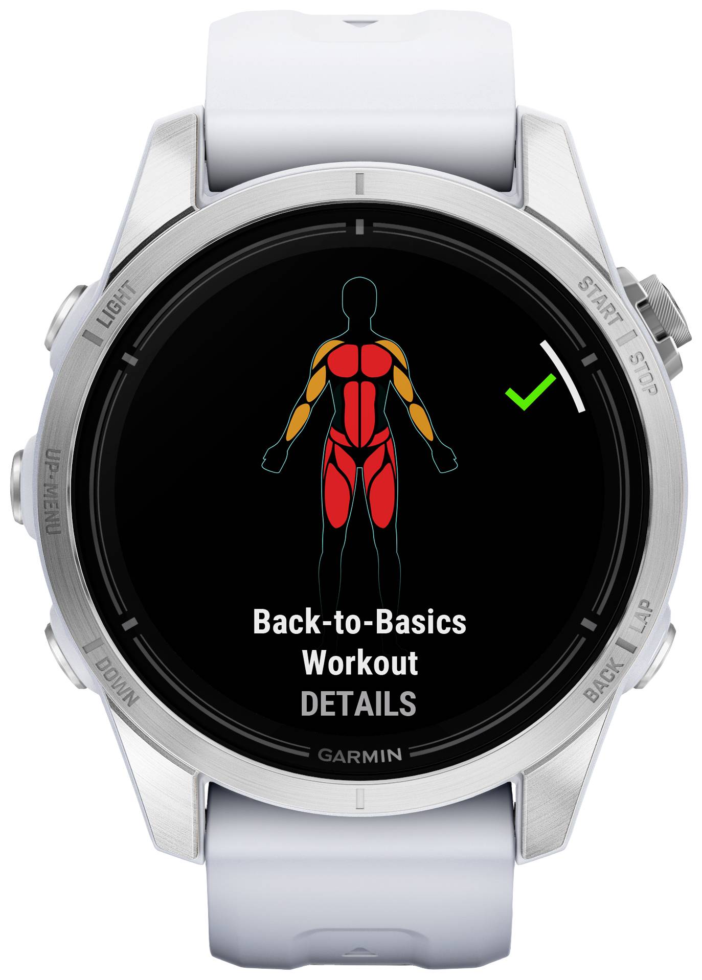 Smartwatch-Anzeige mit farbig hervorgehobenen Muskelgruppen. Text: 'Back-to-Basics Workout'. Ein grünes Häkchen ist sichtbar.