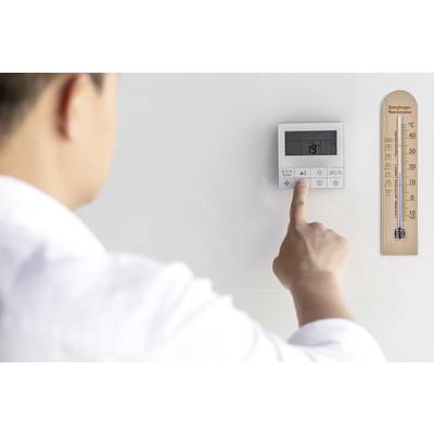 TFA Dostmann Thermometer Natur kaufen