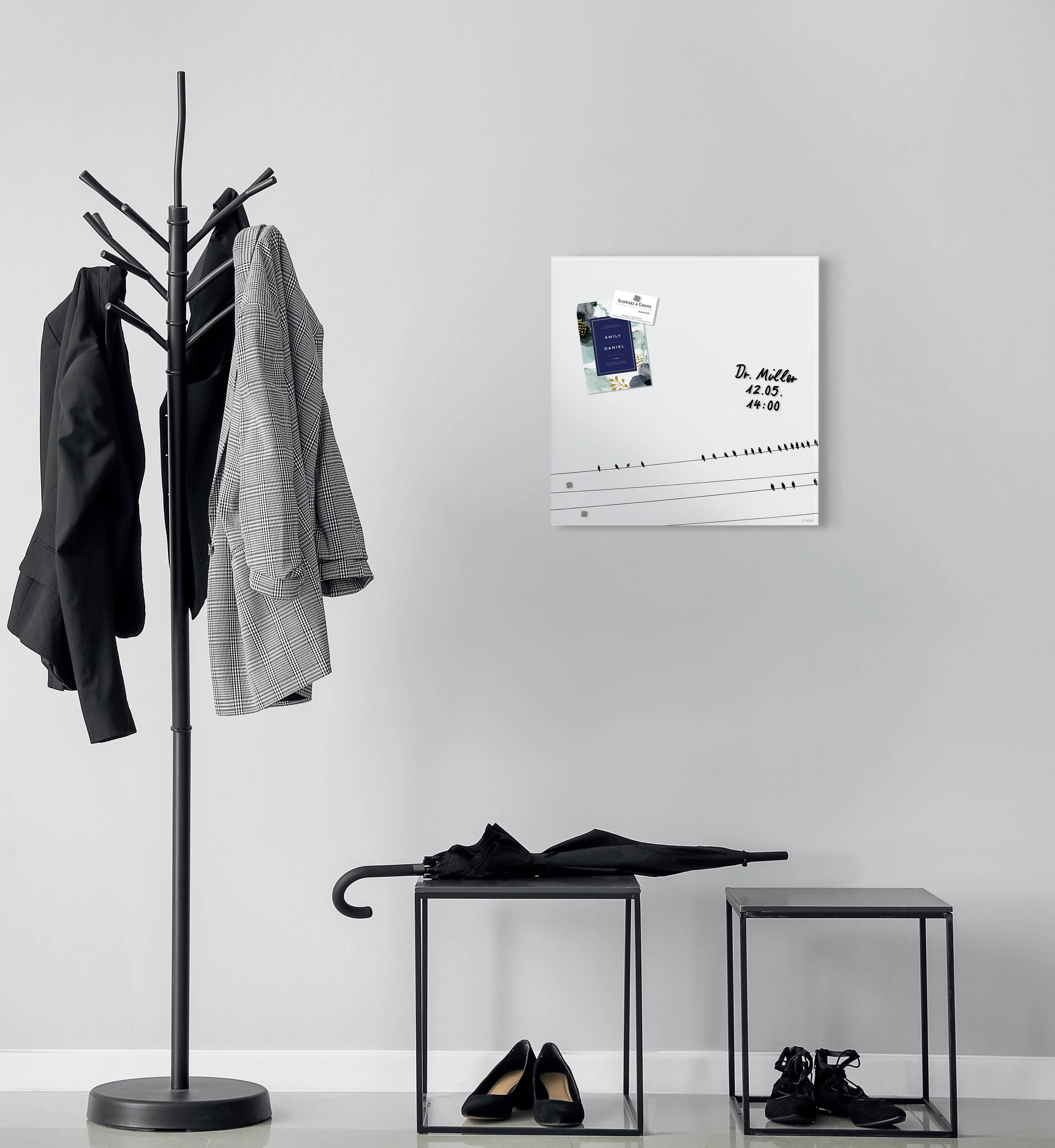 Sigel Glas-Magnettafel Artverum Little Birds (B x H) 48 cm x 48 cm Weiß GL274-4