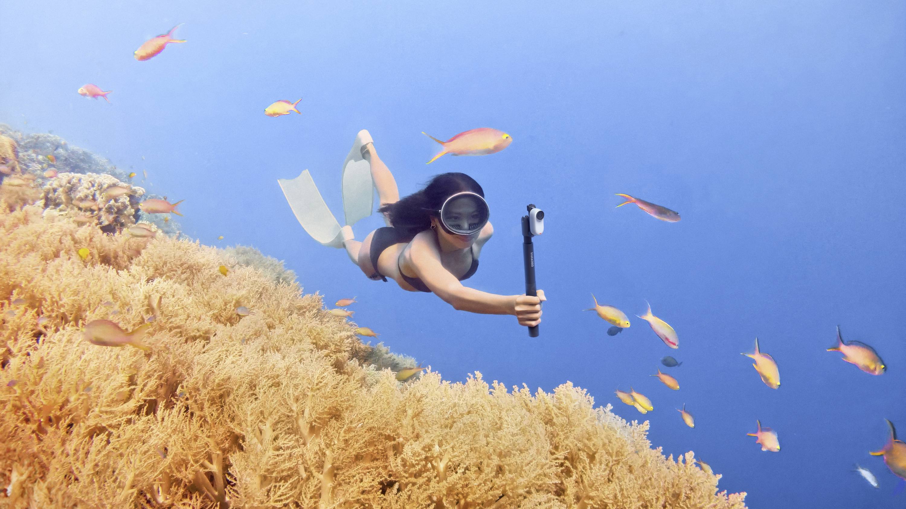 Eine Person taucht im klaren blauen Wasser über ein Korallenriff und filmt mit einer Action-Kamera. Bunte Fische schwimmen um sie herum.