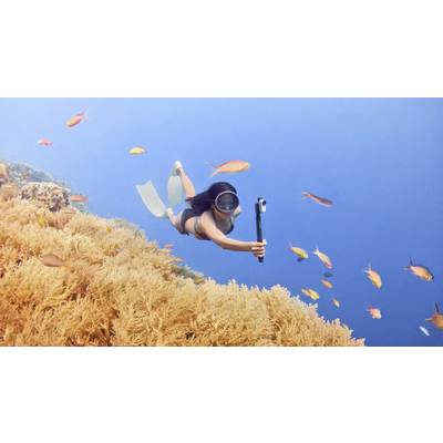 Eine Person taucht im klaren blauen Wasser über ein Korallenriff und filmt mit einer Action-Kamera. Bunte Fische schwimmen um sie herum.