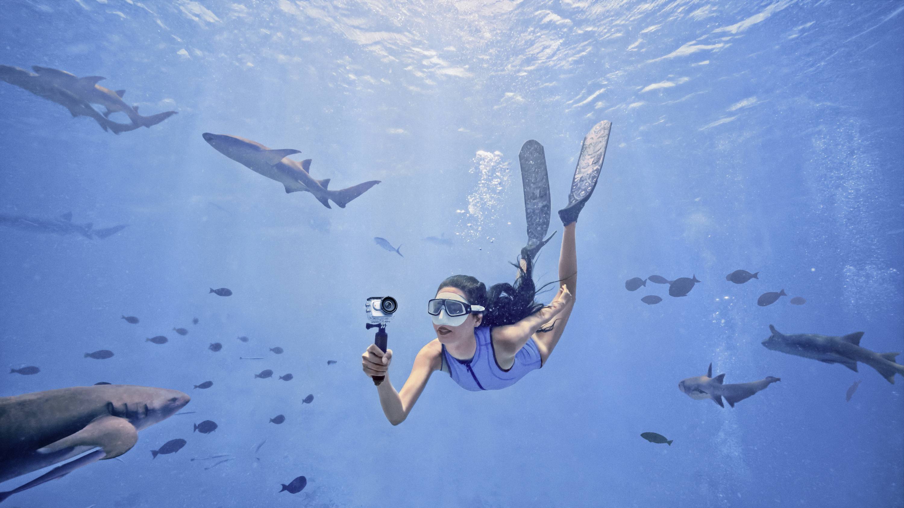 Eine Frau taucht unter Wasser, umgeben von Haien und Fischen, und hält eine Kamera. Die Szene vermittelt Abenteuer und Erkundung.