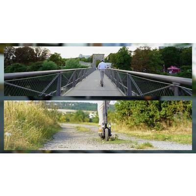 Eine Person fährt mit einem E-Scooter über zwei Brücken in einer grünen Umgebung, umgeben von Bäumen und Gras, bei Tageslicht.