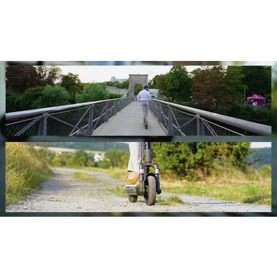 Eine Person fährt auf einem E-Scooter über eine Brücke und einen ländlichen Weg. Im Hintergrund sind Bäume und ein bewölkter Himmel sichtbar.