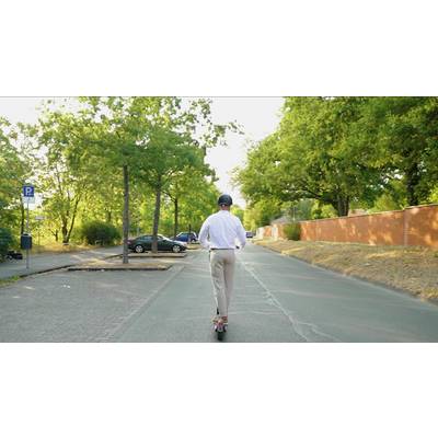 Eine Person fährt bei Tageslicht mit einem Elektroroller auf einer ruhigen, mit Bäumen gesäumten Straße.