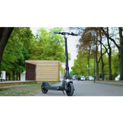 Elektroroller steht auf einem Bürgersteig in einem Park mit grünen und braunen Bäumen. Im Hintergrund sind unscharfe Autos zu sehen.