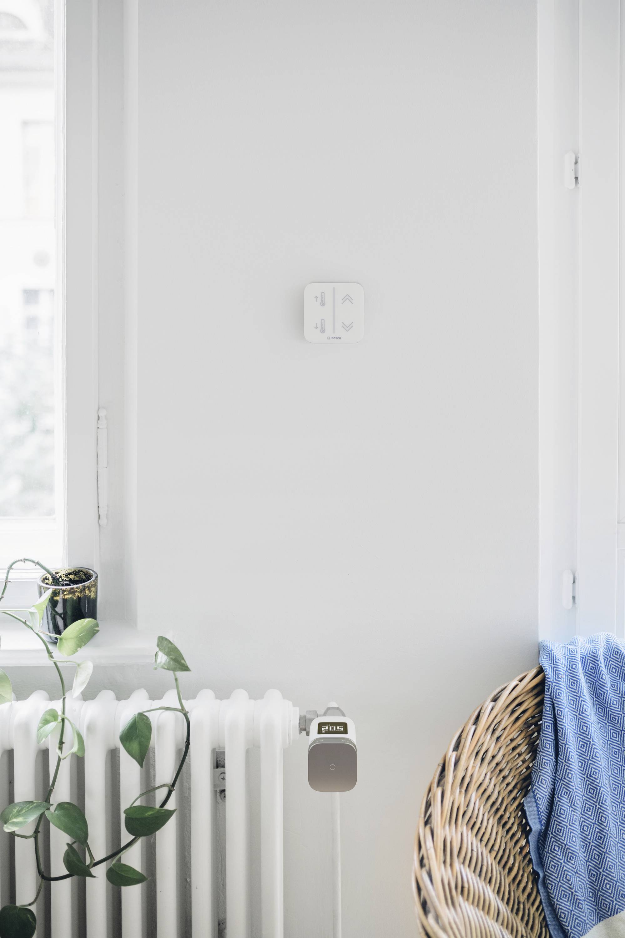 Ein Wohnzimmer mit einem weißen Heizkörper unter einem Fenster. Eine Pflanze steht auf dem Heizkörper. Daneben ein Stuhl mit blauer Decke.