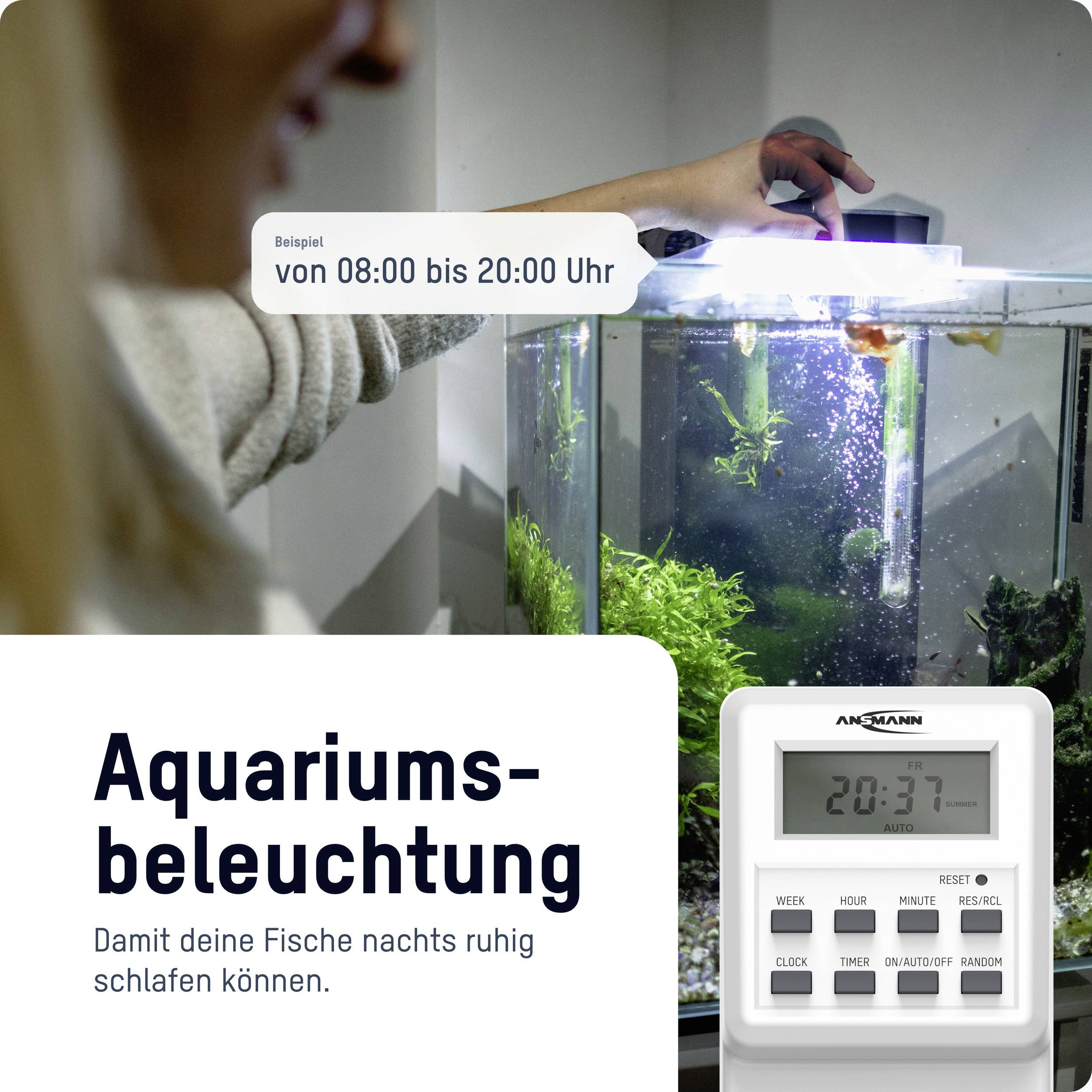 'Aquariumbeleuchtung von 08:00 bis 20:00 Uhr. Ziel: Fische nachts ruhig schlafen lassen. Bild zeigt einen LED-beleuchteten Tank.'