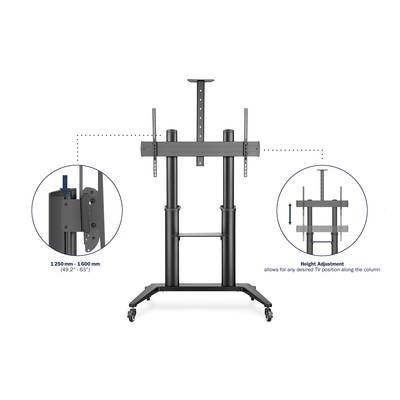 'TV-Ständer mit höhenverstellbarem Mechanismus. Höhe: 1250 mm bis 1600 mm. Rollfüße für Mobilität. Geeignet für verschiedene TV-Größen.'