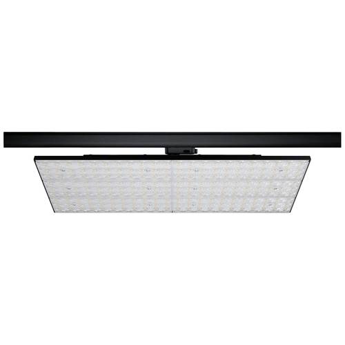 Paulmann ProRail3 Kratos LED-Schienenstrahler ProRail3 75 W LED Schwarz