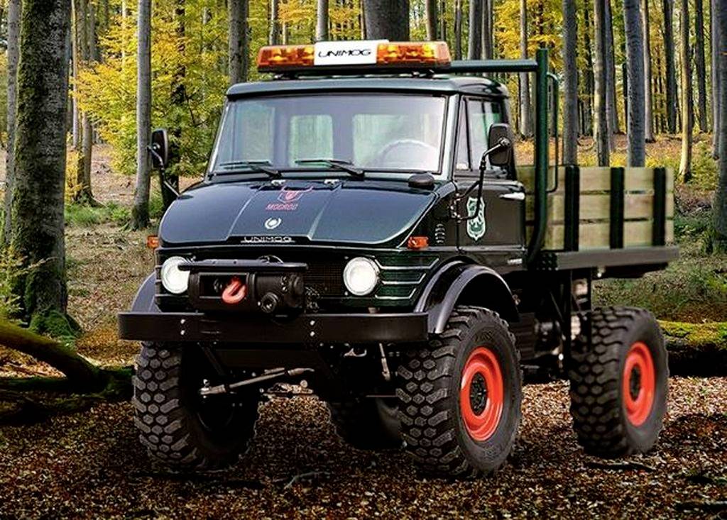 Ein grüner Unimog mit orangefarbenen Felgen steht in einem herbstlichen Wald. Im Hintergrund sind Bäume mit buntem Laub zu sehen.