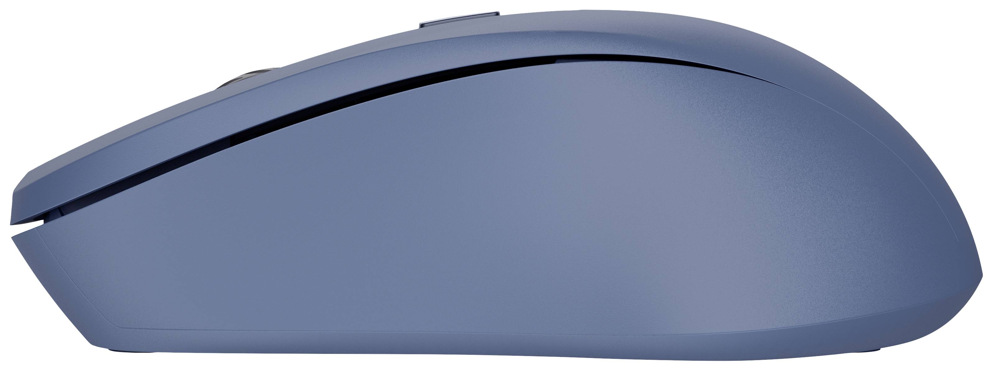 Trust Mydo - Maus - leise - rechts- und linkshändig - optisch - 4 Tasten - kabellos - 2.4 GHz - kabelloser Empfänger (US-3