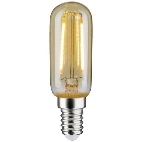 Paulmann 28526 LED E14 2 W Gold (Ø x H) 25 mm x 80 mm 1 St.
