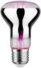Paulmann LED-Pflanzenlampe Wachstum 230 V E27 6.5 W Bernstein 1 St.
