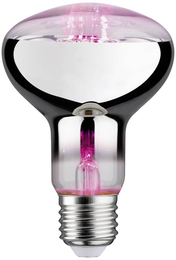 Paulmann LED-Pflanzenlampe Wachstum 230 V E27 6.5 W Bernstein 1 St.