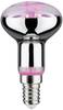 Paulmann LED-Pflanzenlampe Wachstum 230 V E14 4 W Bernstein 1 St.