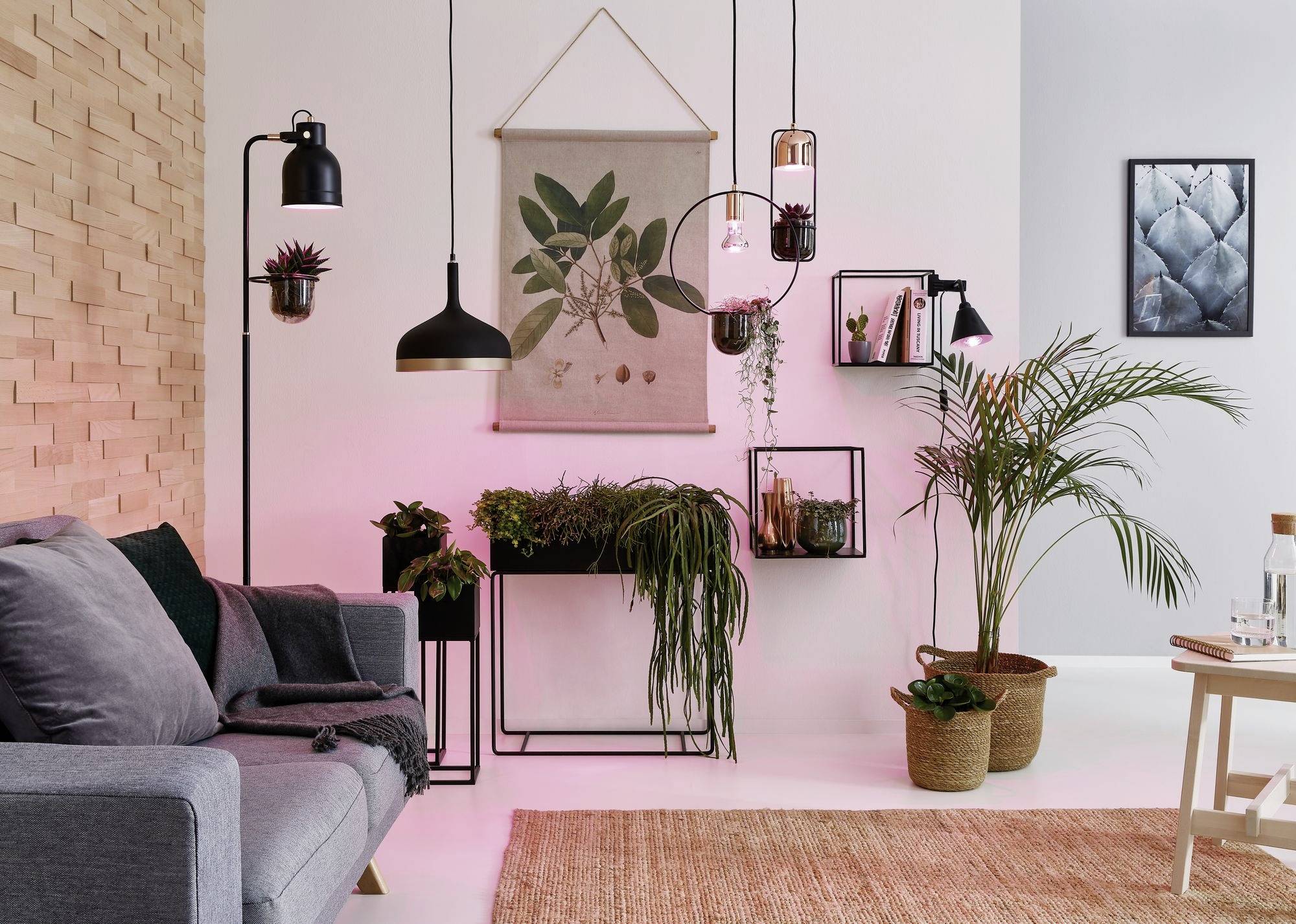Wohnzimmer mit modernem Dekor: graues Sofa, hängende Pflanzen, stilvolle Beleuchtung und Wandbilder. Gemütliche Atmosphäre mit rosa Lichtakzent.