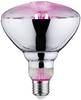 Paulmann LED-Pflanzenlampe Wachstum 230 V E27 6.5 W Bernstein 1 St.