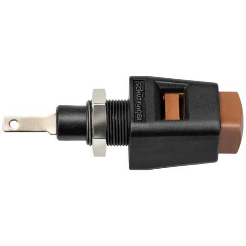 Schützinger Schnelldruckklemme Braun 5 A 1 St.